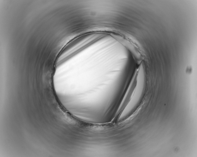 X0000090421177200708101936