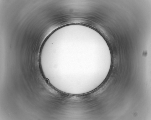 X0000090421178200708101936