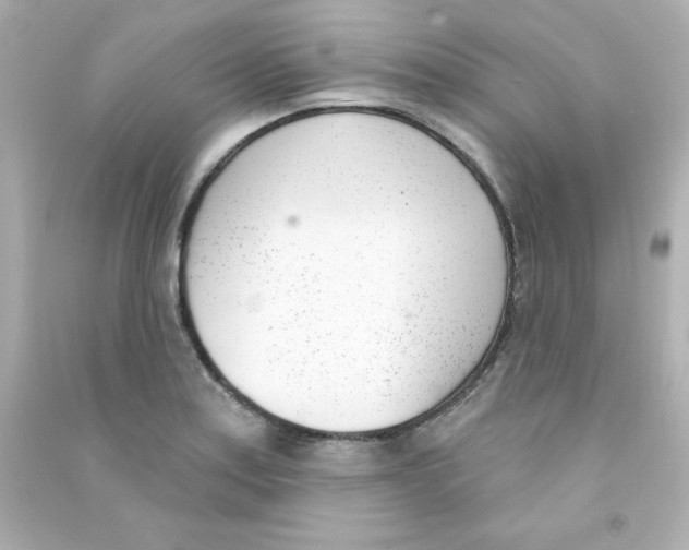 X0000090421179200708101936