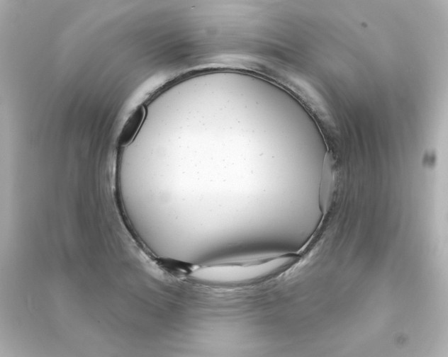 X0000090421180200708101936