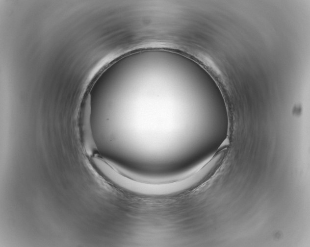 X0000090421181200708101936