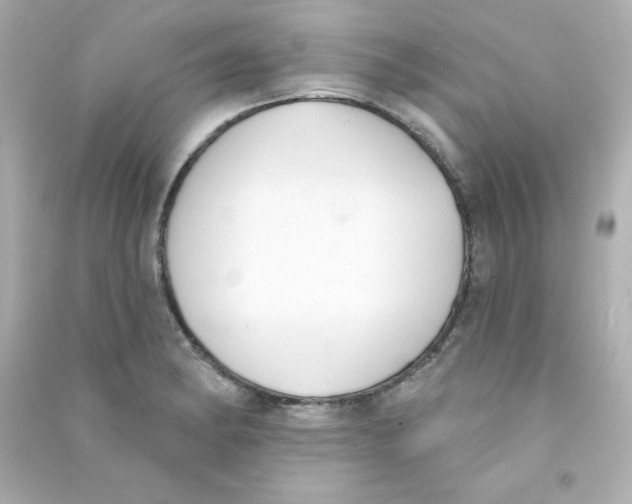 X0000090421182200708101936