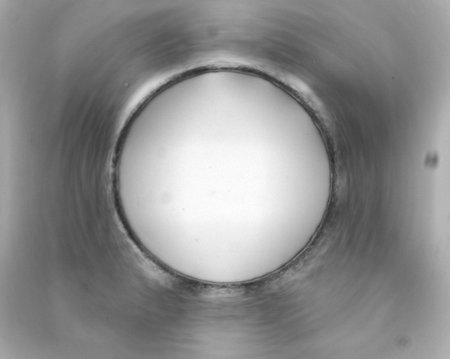 X0000090421183200708101936