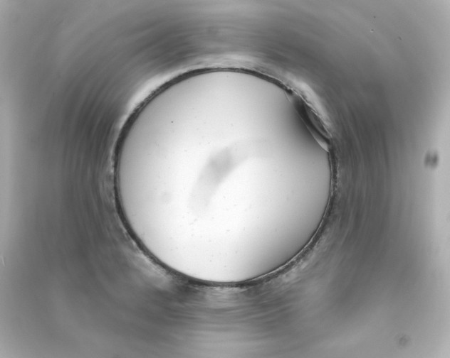 X0000090421184200708101936