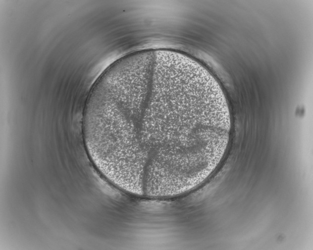 X0000090421185200708101936