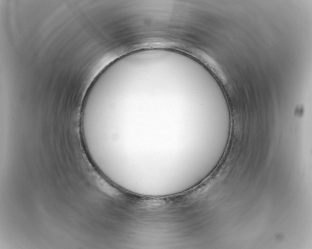X0000090421186200708101936