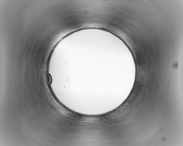 X0000090421187200708101936