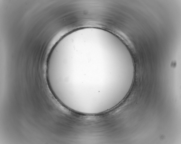 X0000090421188200708101936