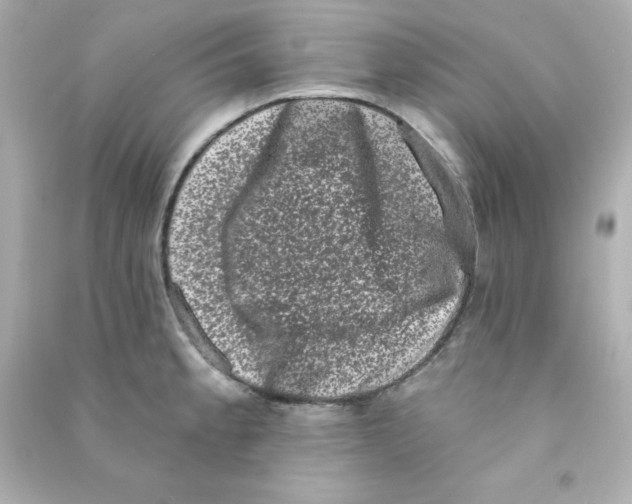 X0000090421189200708101936