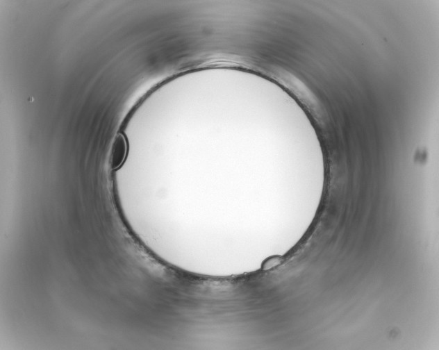 X0000090421190200708101936
