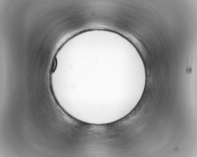 X0000090421191200708101936