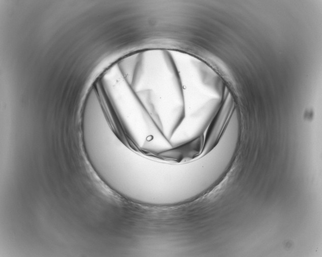 X0000090421192200708101935