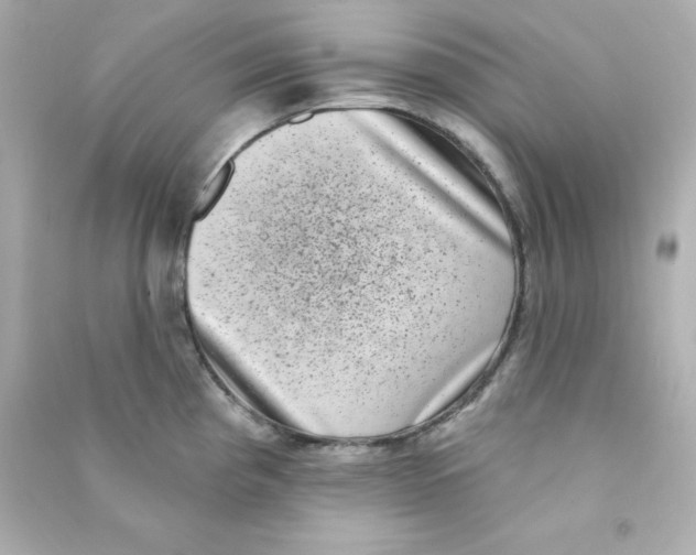 X0000090421193200708101935