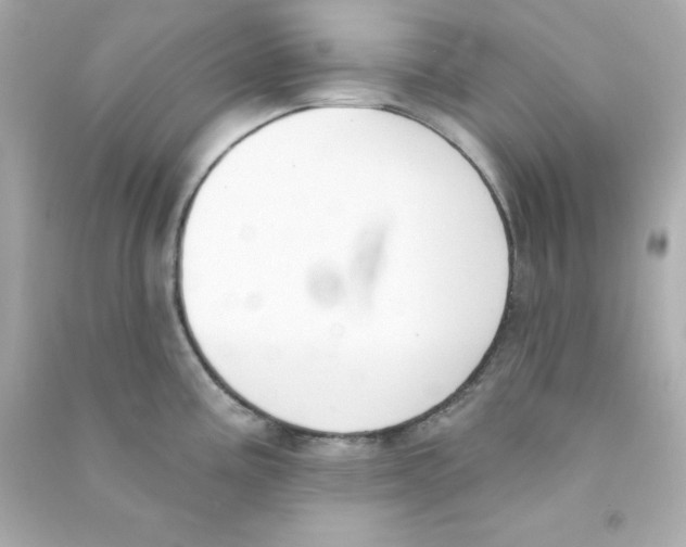 X0000090421195200708101935