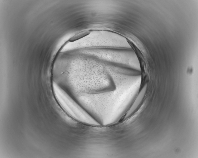 X0000090421196200708101935