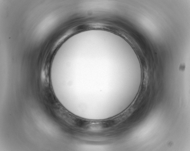 X0000090421198200708101935