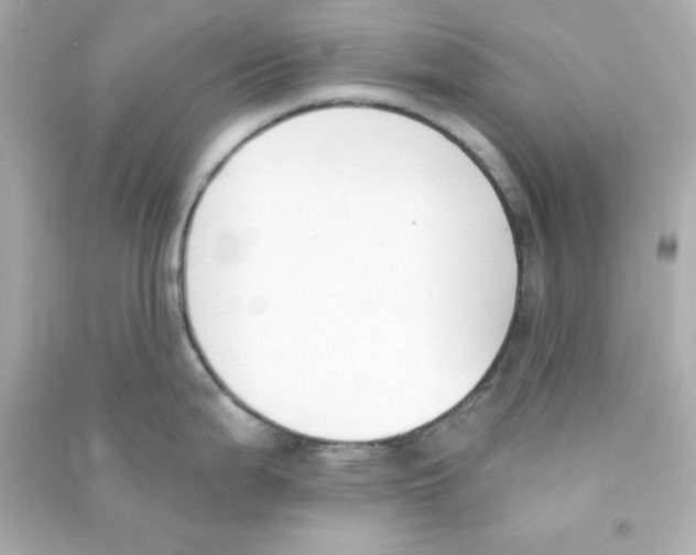 X0000090421199200708101935