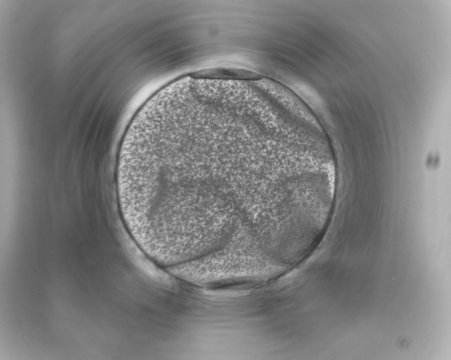 X0000090421200200708101935