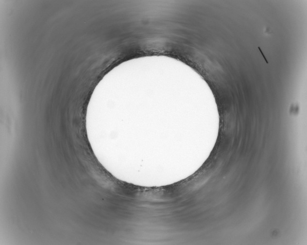 X0000090421201200708101934