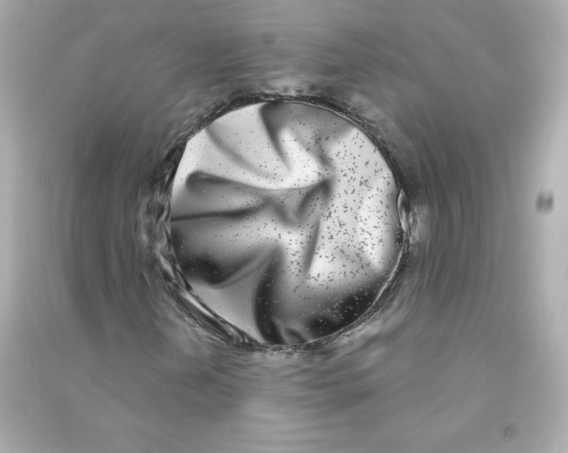 X0000090421202200708101934
