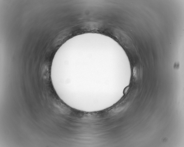 X0000090421203200708101934