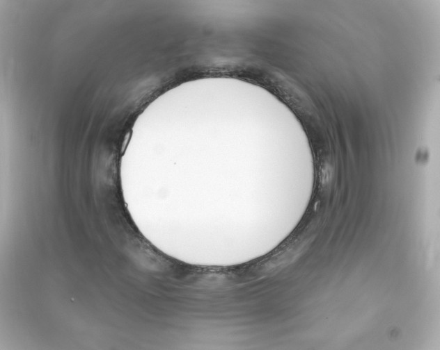 X0000090421204200708101934