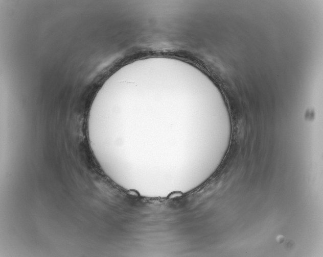 X0000090421205200708101934
