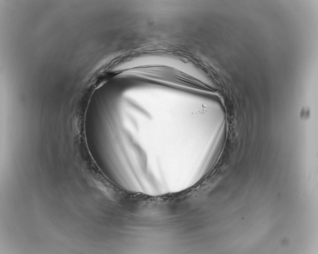 X0000090421206200708101934
