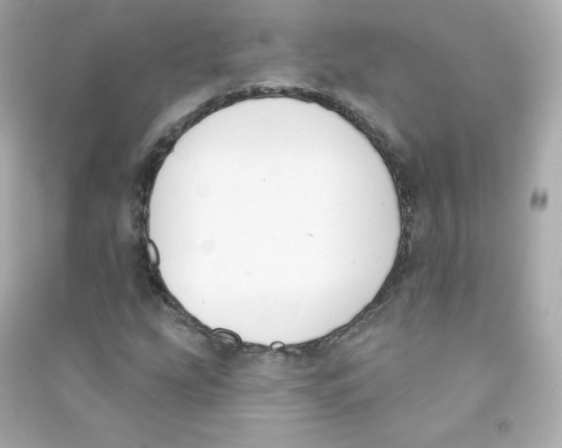 X0000090421207200708101934