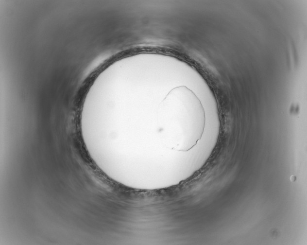 X0000090421208200708101934