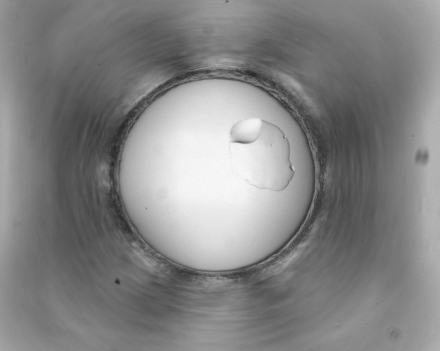 X0000090421209200708101934