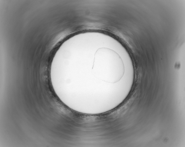 X0000090421211200708101935