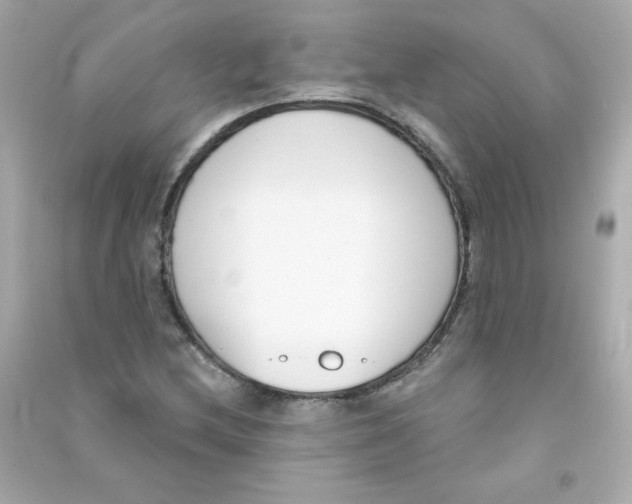 X0000090421212200708101935