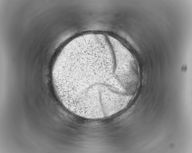 X0000090421213200708101935