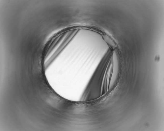 X0000090421214200708101935