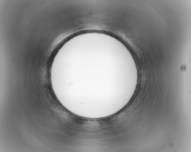X0000090421215200708101935