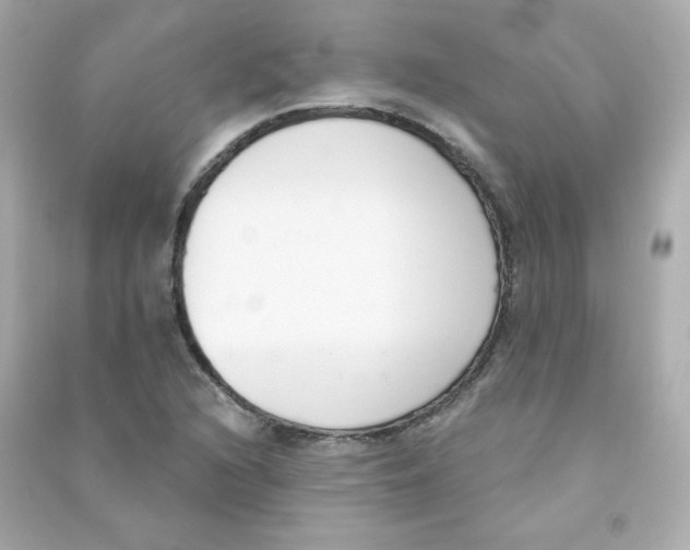 X0000090421216200708101935