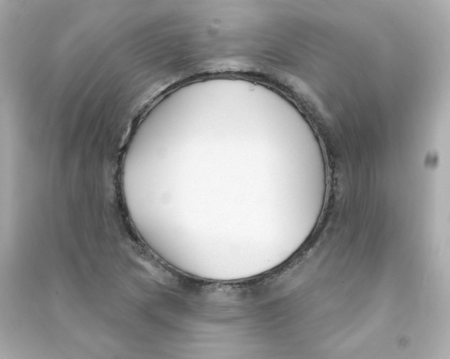 X0000090421217200708101935