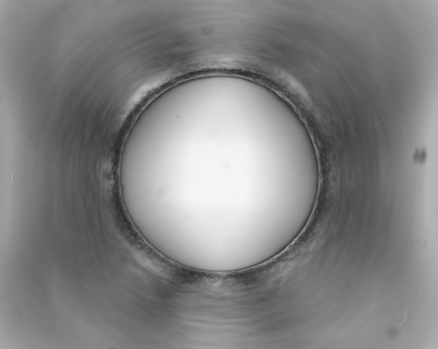 X0000090421218200708101935