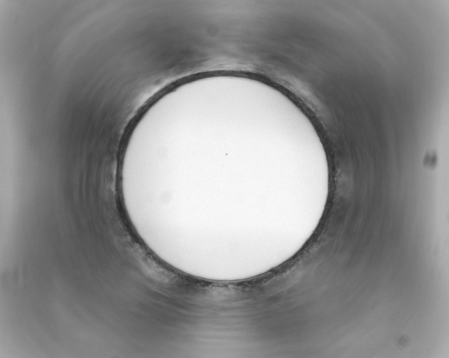 X0000090421220200708101935