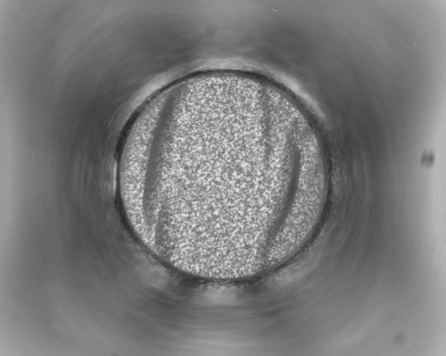 X0000090421221200708101935