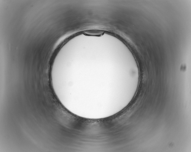 X0000090421222200708101935