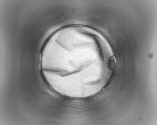 X0000090421223200708101935
