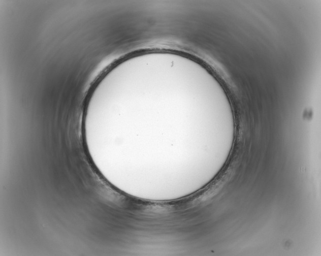 X0000090421224200708101935