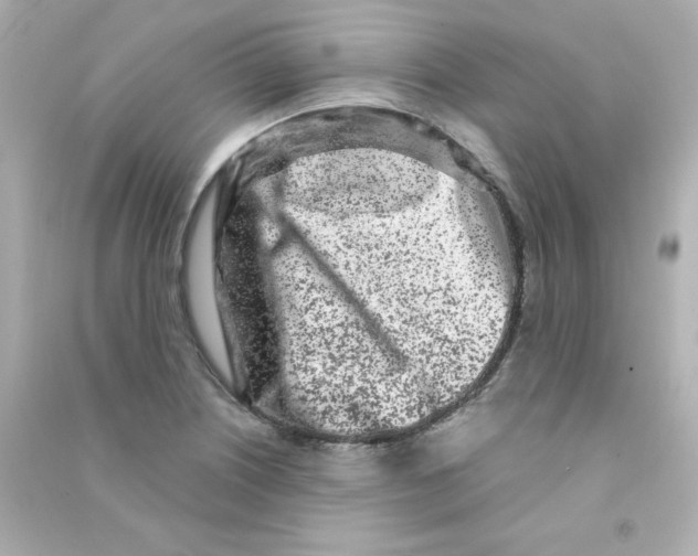 X0000090421226200708101935