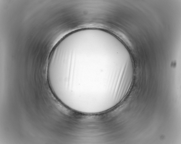 X0000090421228200708101935