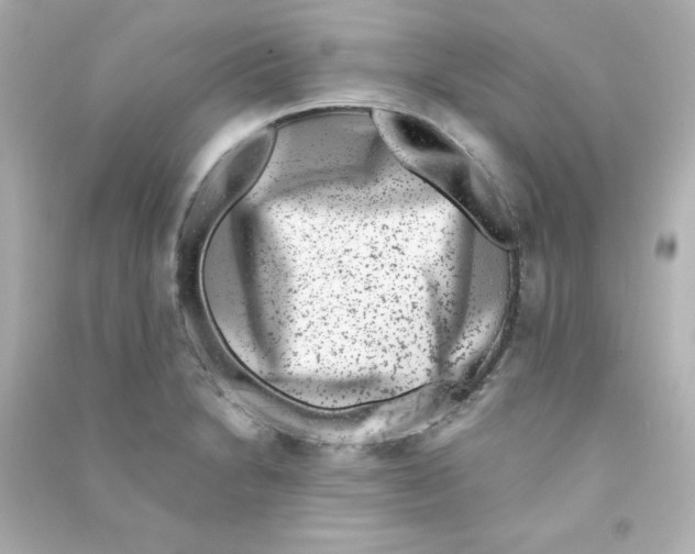X0000090421230200708101935