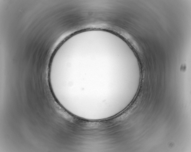 X0000090421232200708101935