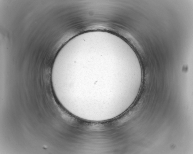 X0000090421233200708101935