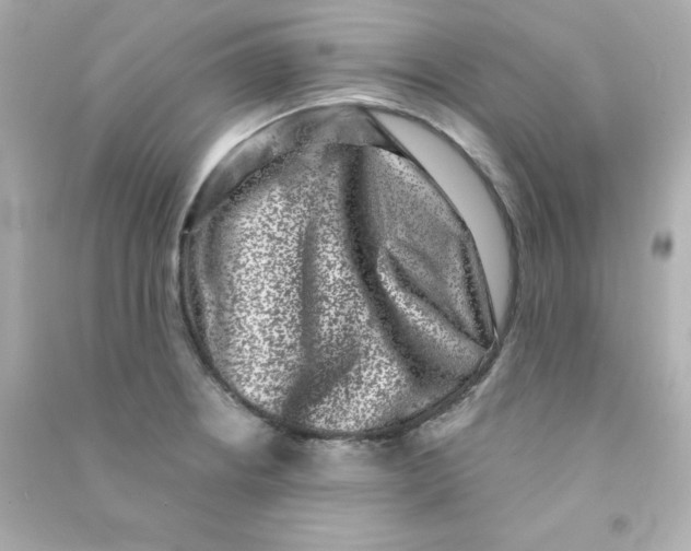 X0000090421234200708101935